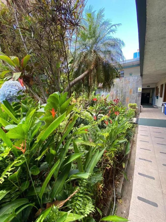 Hotel Ecological Inn San Jose  Exterior photo